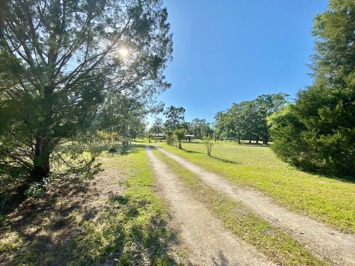 A winding gravel pathway is flanked by trees, leading through lush green lawns dotted with various shrubs and plants. Bright sunlight filters through the leaves, creating a warm ambiance under a clear blue sky.