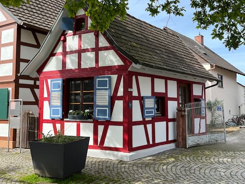 Tiny1836 with terrace