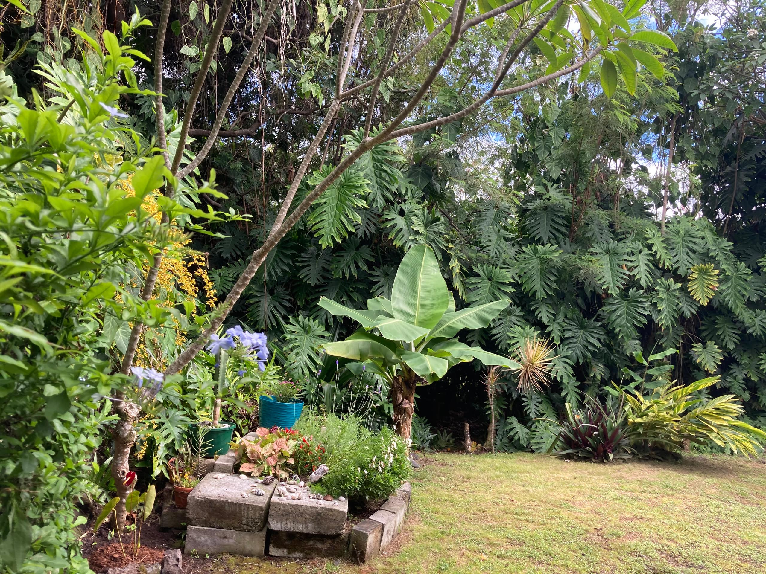 Kona Paradise Big Island - Photo 21