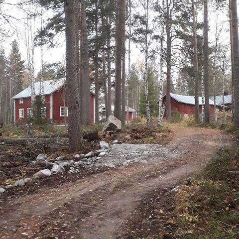Popular Airbnb listing: Yard cabin with sauna in Hyrynsalmi