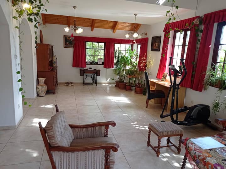 Pine Grove Villa - Hongarije