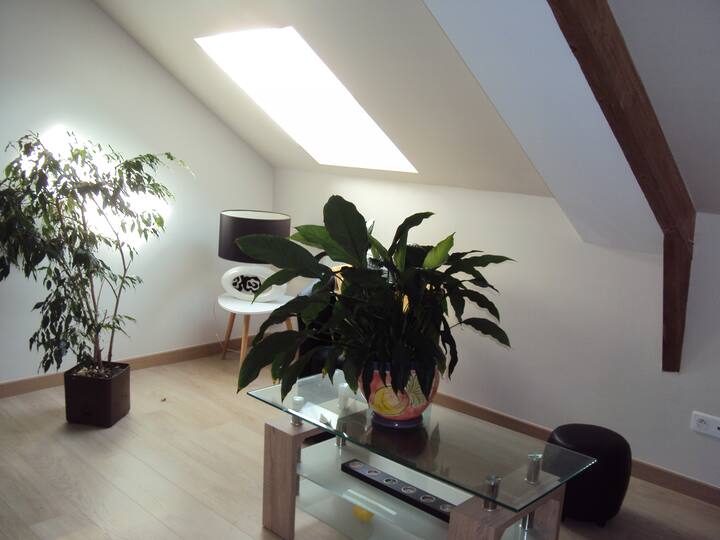 Chambre Lit Double Sdb Et Toilette Privés - Beauvais