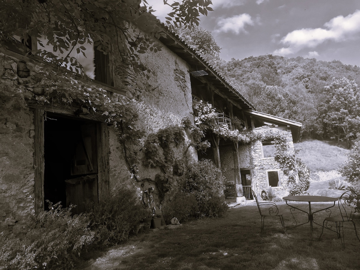 The rustic exterior of an old barn is shown, featuring stone walls adorned with creeping vines. The structure has multiple openings, including large doors and a balcony. A simple table with chairs is positioned on the grassy area in the foreground, surrounded by lush greenery.