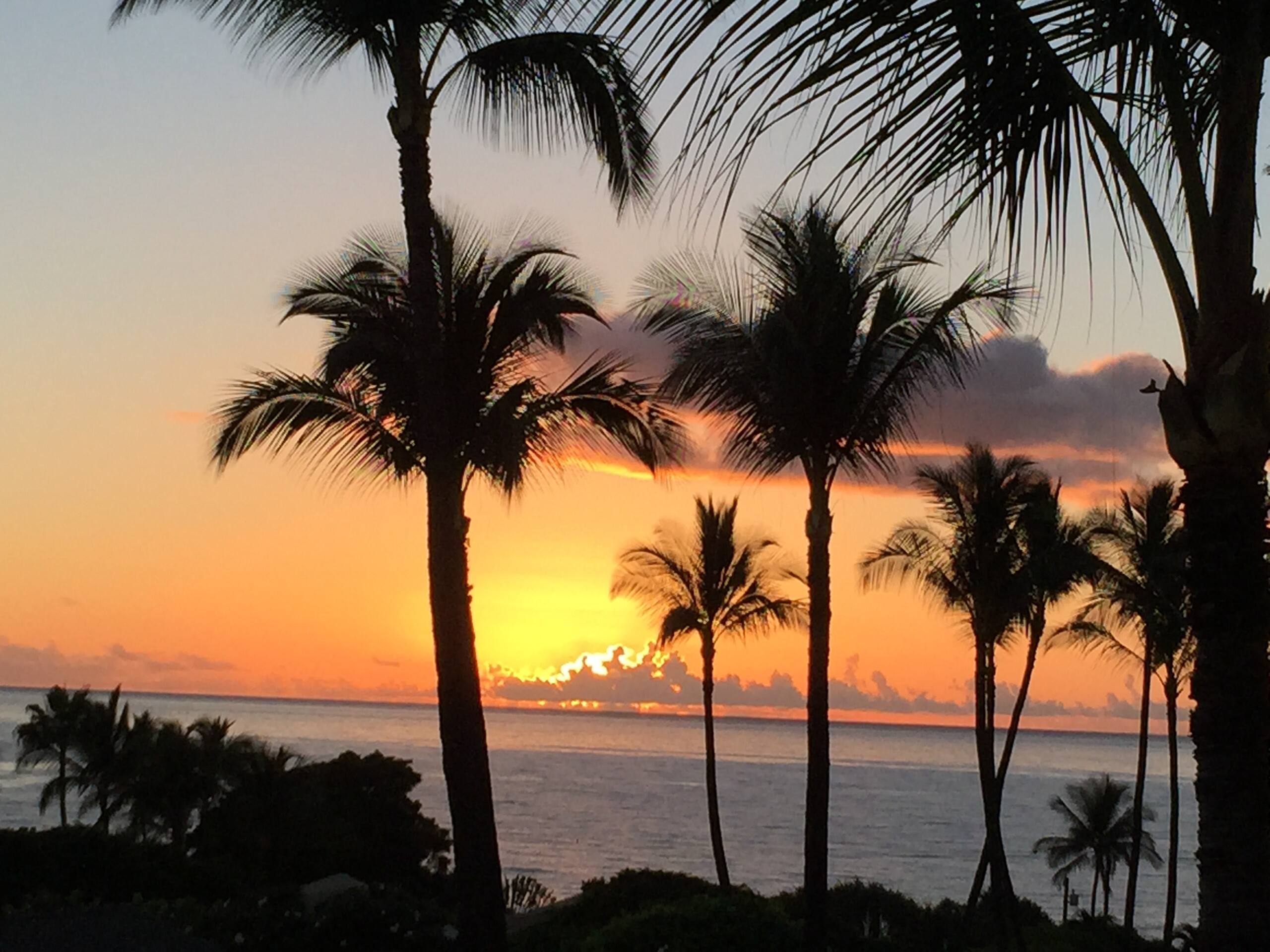 Condo in Kihei · ★4.96 · 1 bedroom · 2 beds · 1 shared bath - Image 25