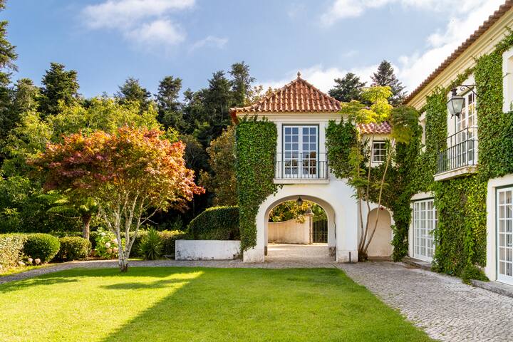 Private Villa in Sintras’ Forest gallery image 3