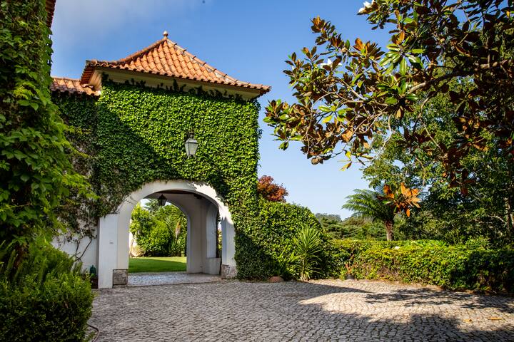 Private Villa in Sintras’ Forest gallery image 2