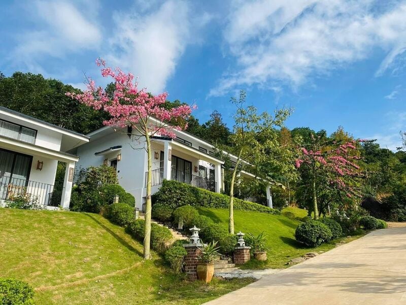 The villa complex is set against a backdrop of greenery and blue skies. Flowering trees line a well-maintained pathway leading to the individual villas, which feature balconies and lush landscaping, providing a serene and inviting atmosphere.