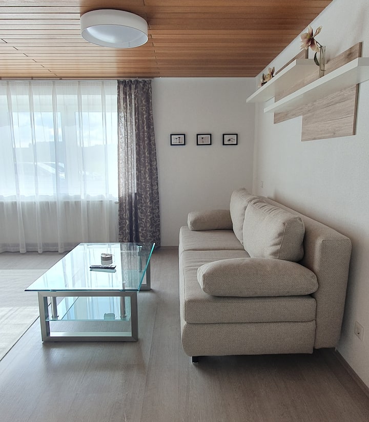 ¡El sofá es muy fácil (levantar y tirar del asiento) para convertirlo al sofá cama! 