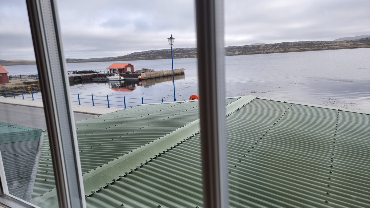 A view from the window displays a green corrugated roof extending over the scene. In the distance, a calm body of water reflects the cloudy sky, with a pier and red-roofed buildings lining the shore.