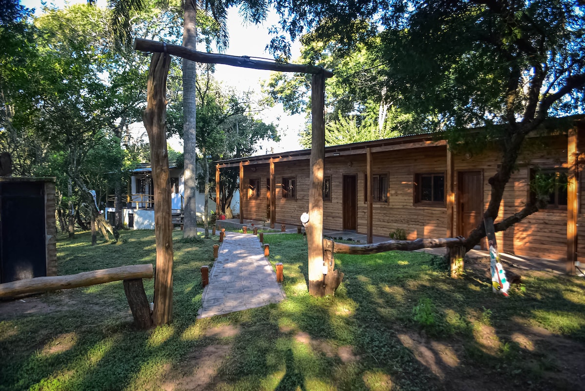 A pathway lined with small potted plants leads to wooden cabins surrounded by lush greenery. Natural light filters through the trees, providing a serene atmosphere. A swing made of wood is positioned nearby, enhancing the outdoor environment.
