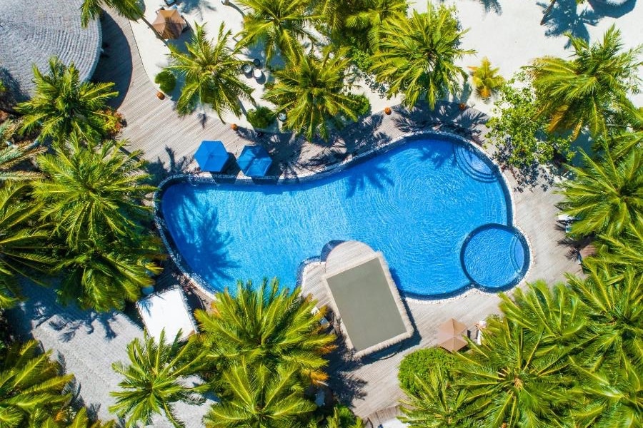 An inviting pool is surrounded by lush palm trees, creating a serene outdoor space. The pool features an organic shape, with a shallow area and adjacent sunbathing deck furnished with lounge chairs. The area is designed for relaxation and enjoyment under the sun.
