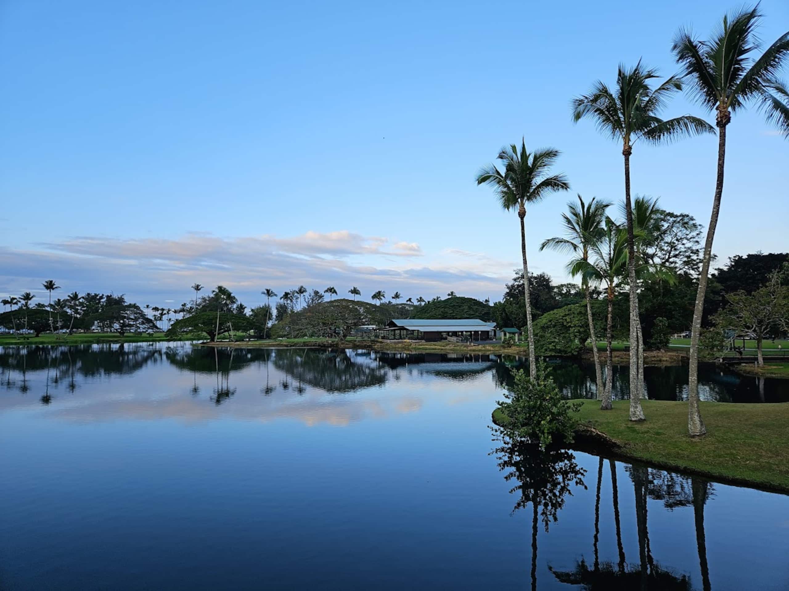 Newly Renovated Hilo Lagoon 2 BD Condo-A/C, Pool - Photo 32