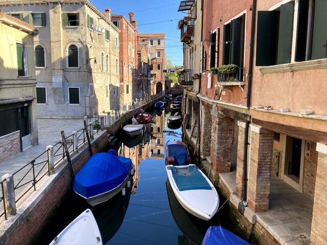 Delizioso & luminosissimo gallery image 5