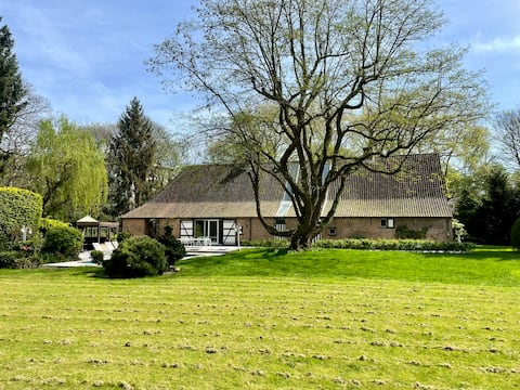A green monument in Antwerp