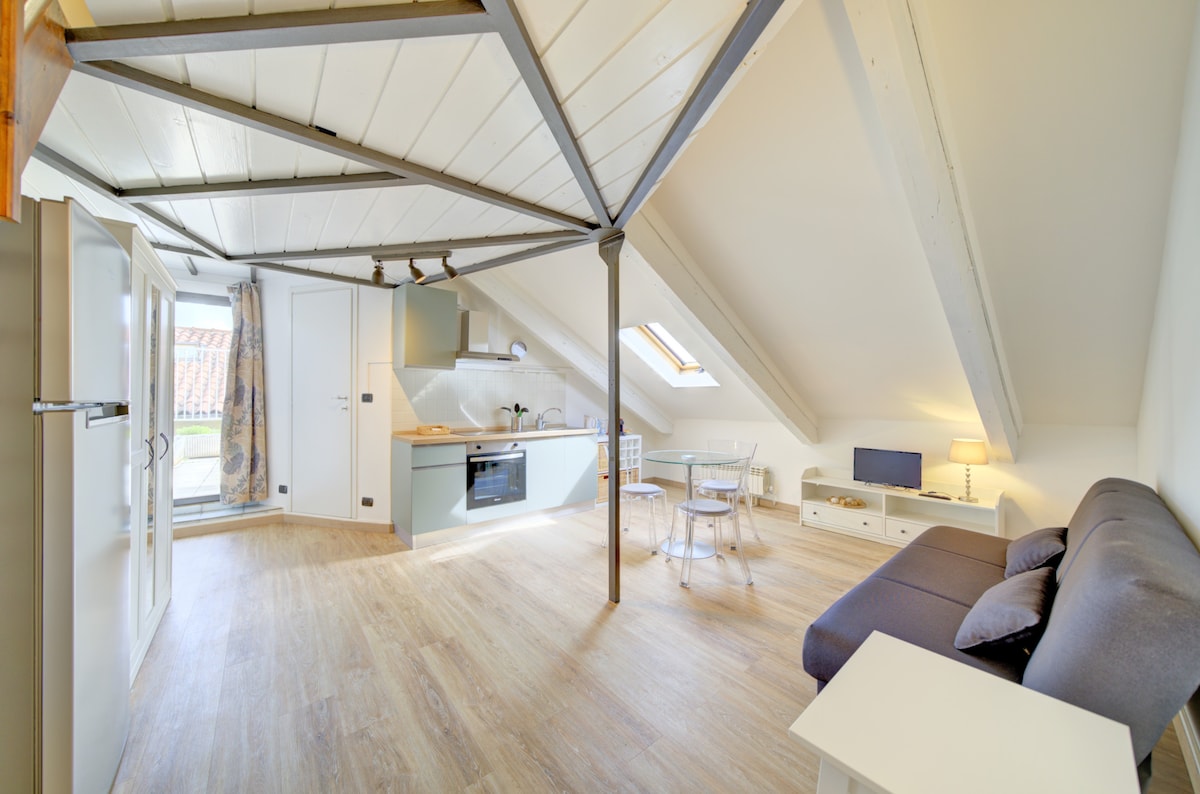 Proprietà Airbnb di successo: Mansarda Rosselli a Torino