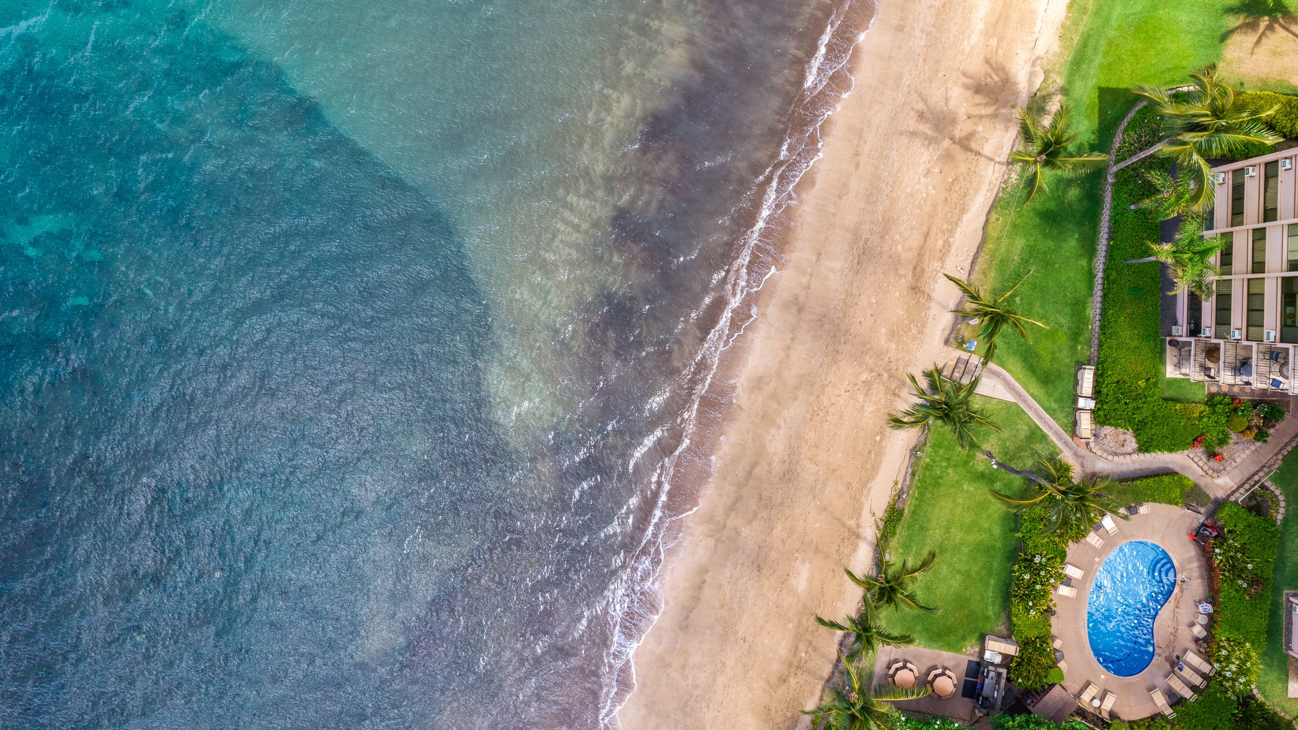 Oceanfront Kihei Maui Studio - Image 19