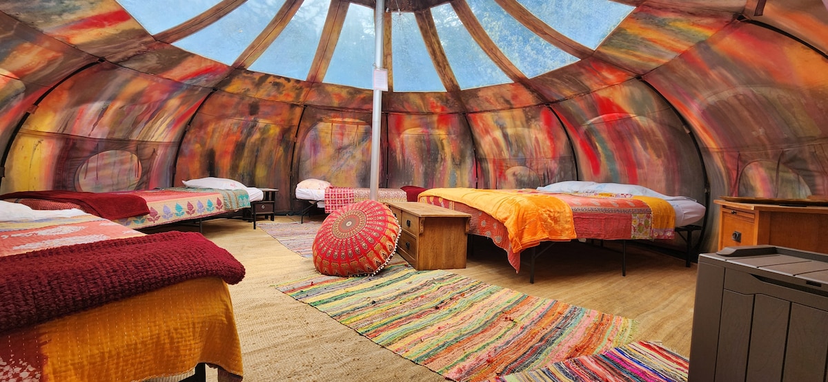 The interior of the Stargazer tent features colorful bedding on multiple spacious beds. A vibrant rug runs across the floor, complemented by a decorative pouf and wooden tables. Natural light filters through the translucent canopy, creating a cozy ambiance.