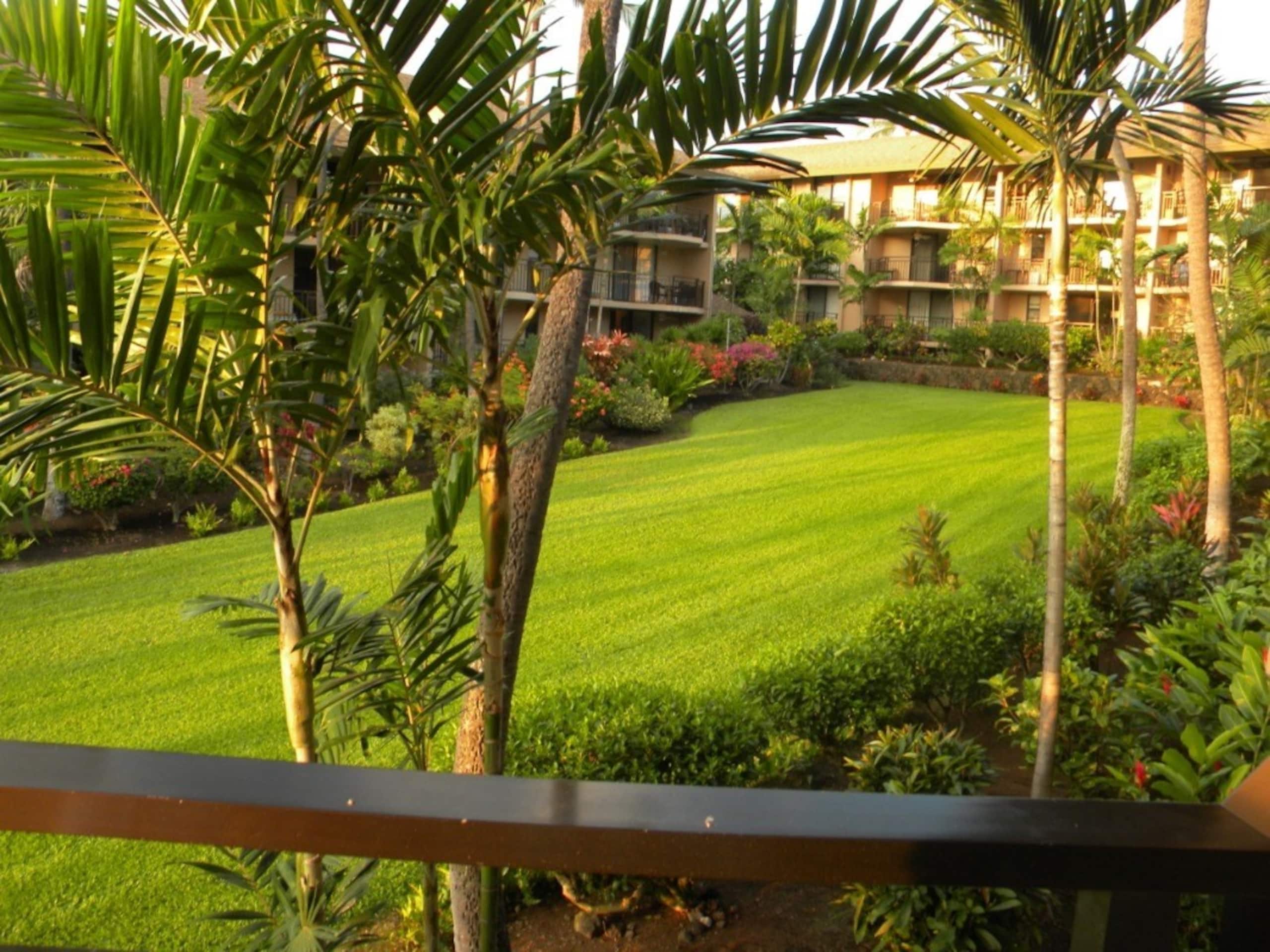 Kona Makai-Oceanview!  Sunsets! - Photo 22