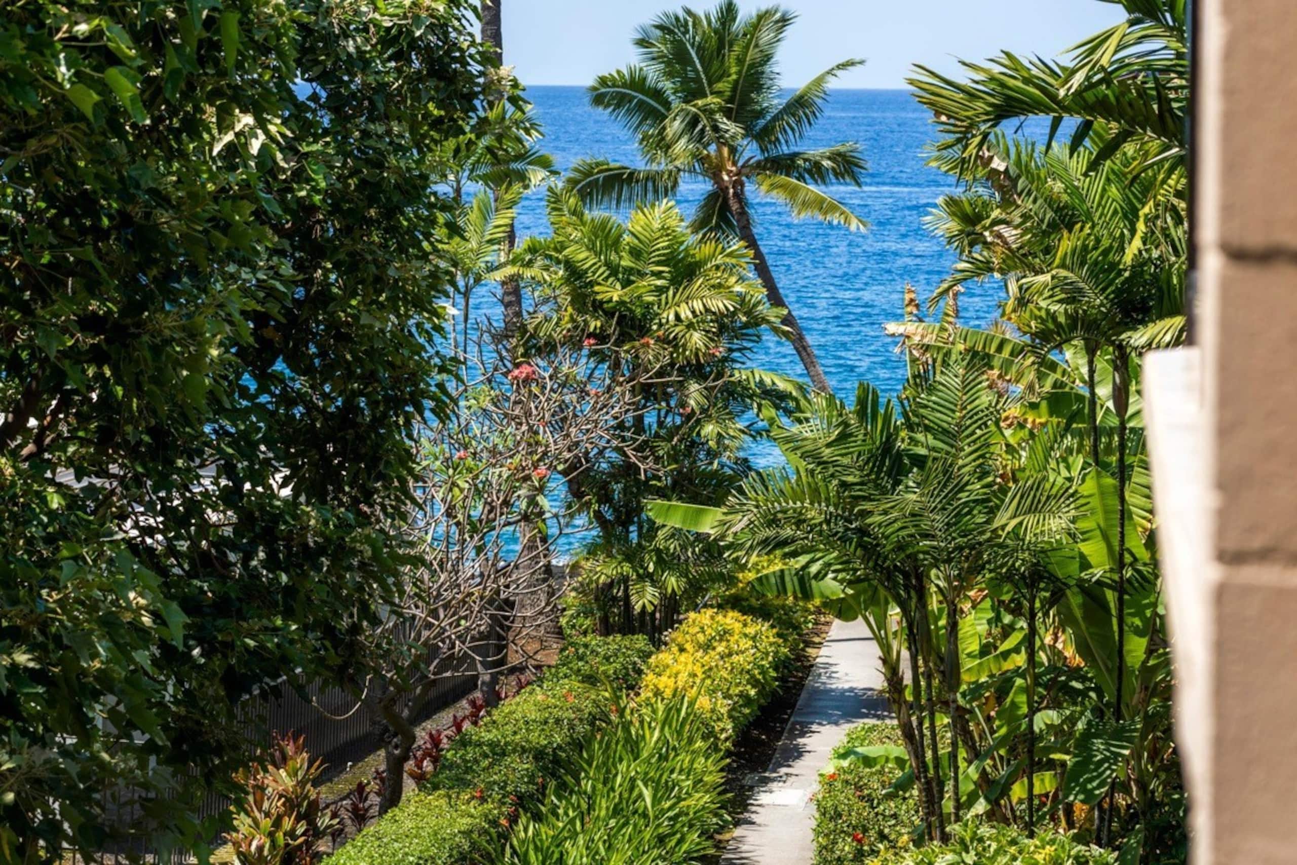Kona Makai-Oceanview!  Sunsets! - Photo 21