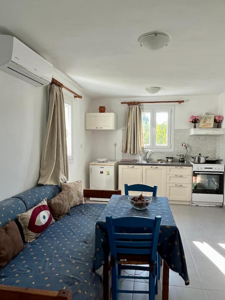 Parasporos Paros Apartment In Olive Garden - パロス島