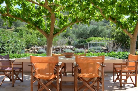 Castle's Garden House