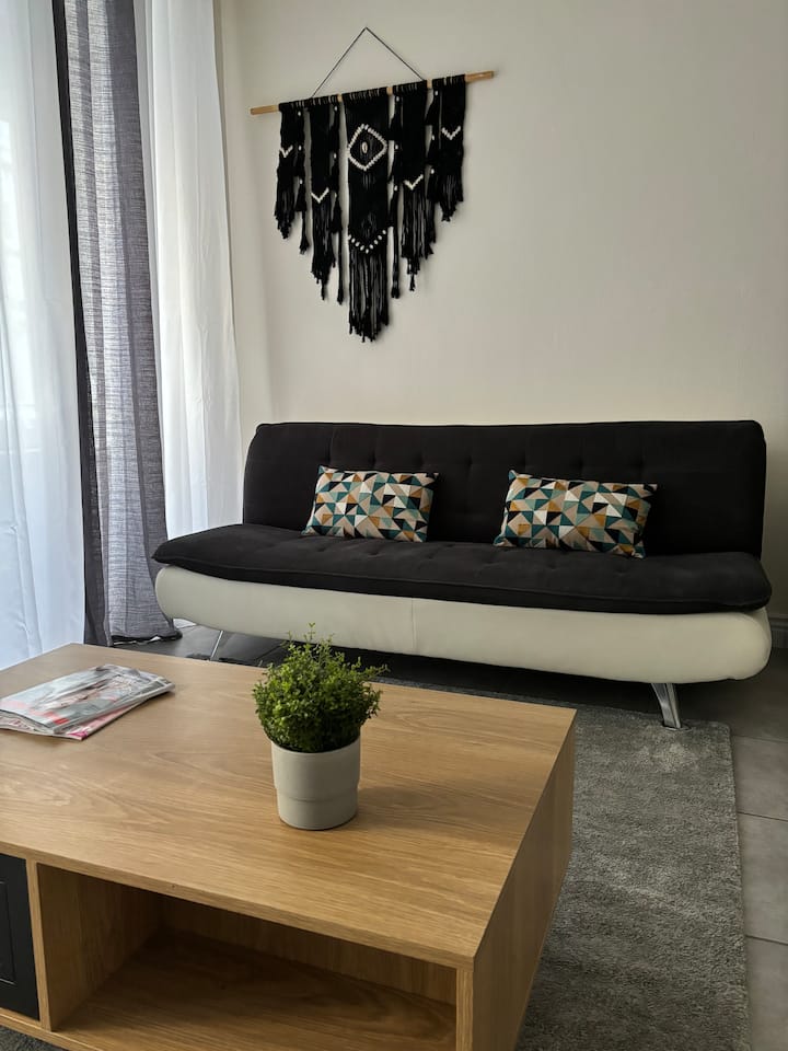 Centre Mulhouse Wifi 7 - Fibre-free Street Parking - Mulhouse