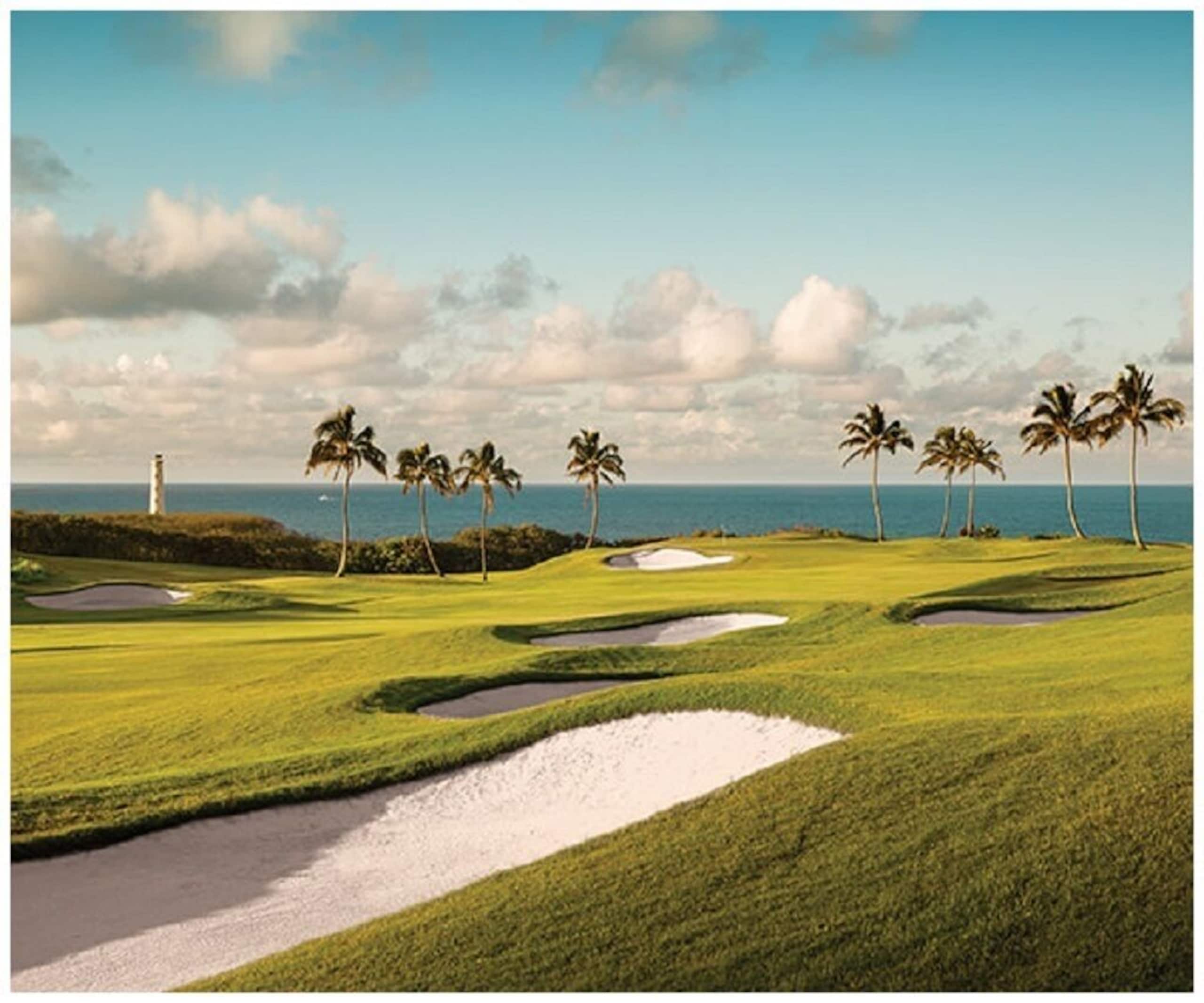 Home in Lihue · ★4.92 · 3 bedrooms · 5 beds · 3.5 baths - Image 34