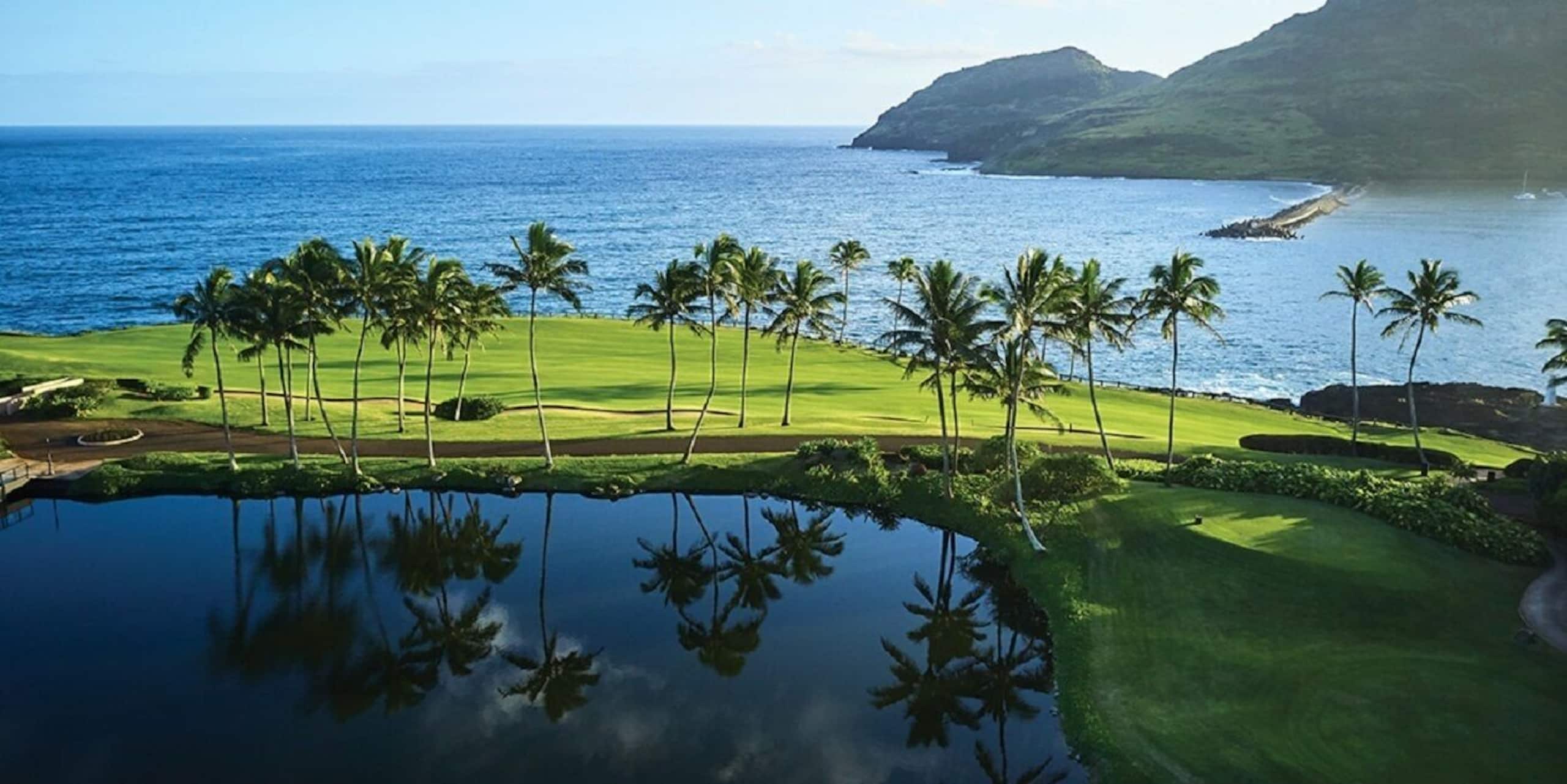 Home in Lihue · ★4.92 · 3 bedrooms · 5 beds · 3.5 baths - Image 32