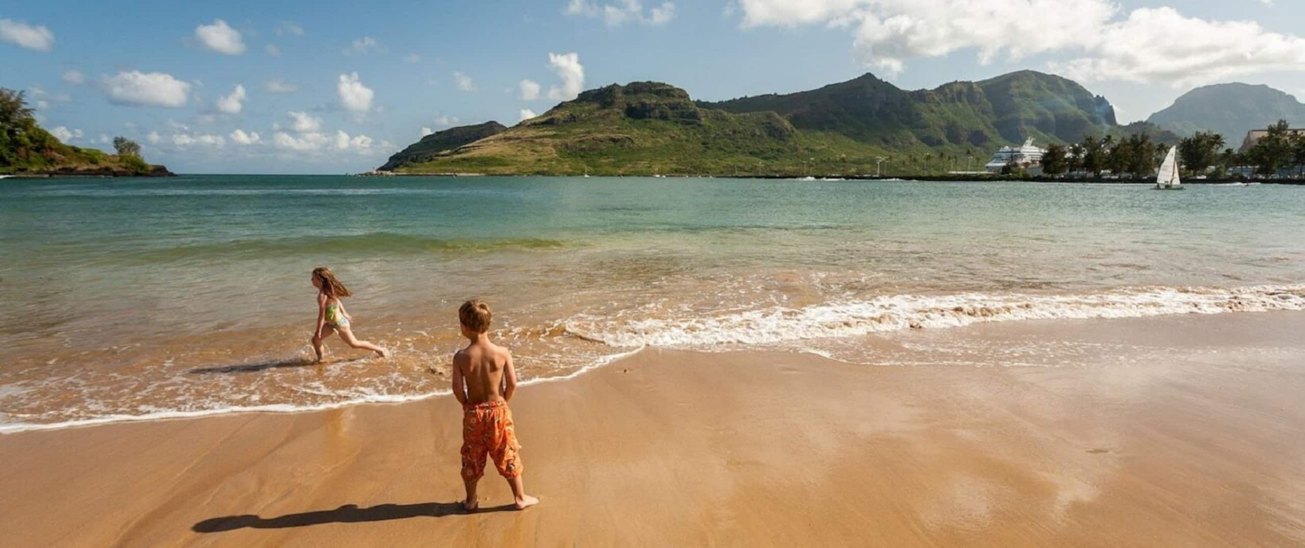 Home in Lihue · ★4.92 · 3 bedrooms · 5 beds · 3.5 baths - Image 26