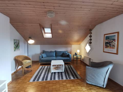 Neb Thun Apartment 2