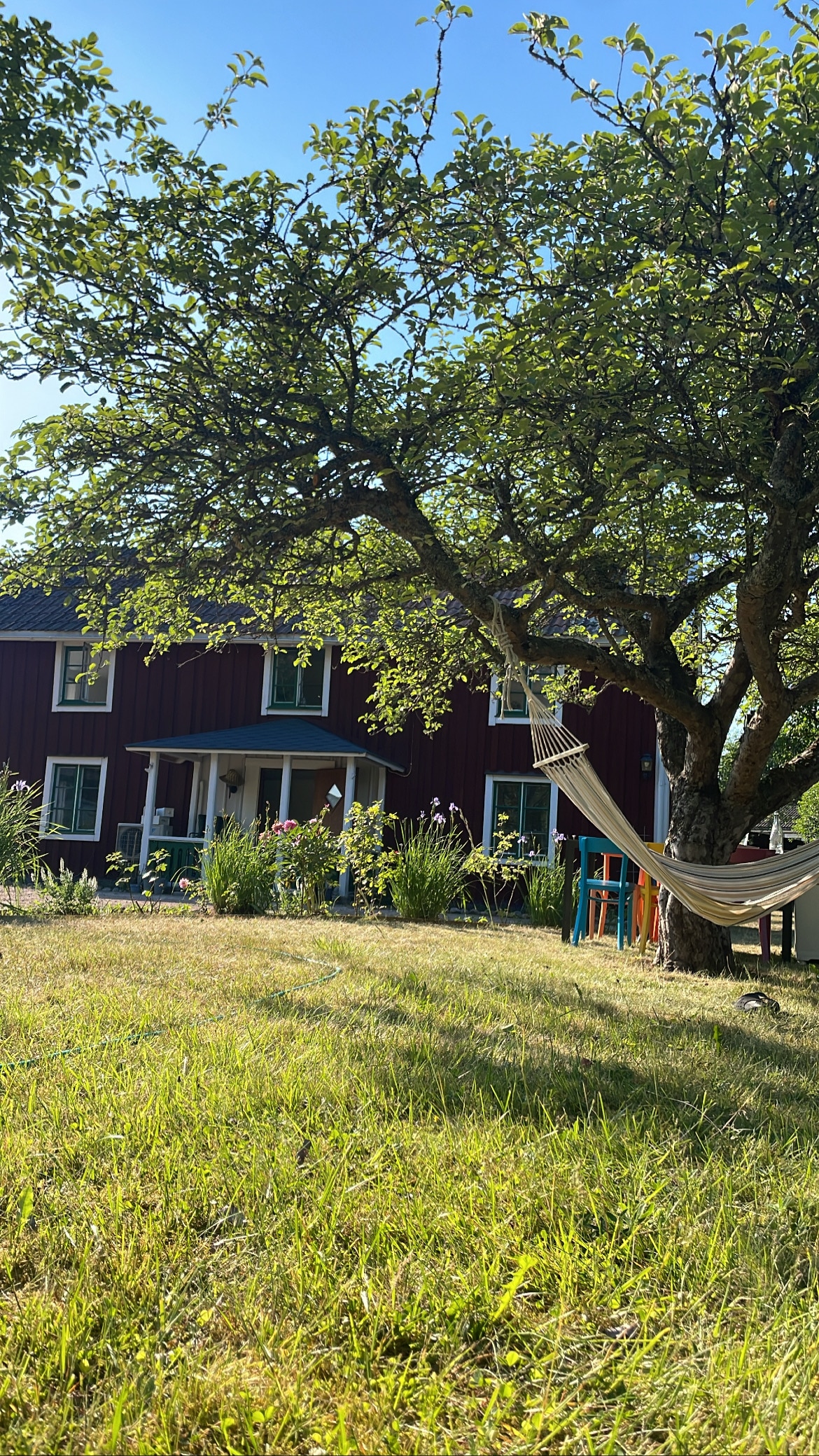 A spacious garden is seen with a large tree providing shade. A hammock is gently draped between its branches. The red two-story house is visible in the background, framed by colorful flower beds and tall grasses, reflecting a serene outdoor setting.