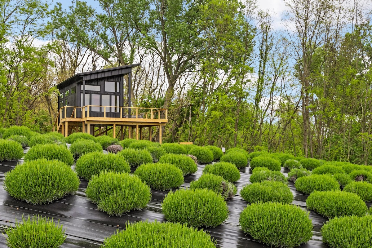 A modern treehouse is perched above a field of lush lavender plants, surrounded by vibrant green trees. The structure features large windows and a spacious deck, providing an immersive view of the natural landscape.