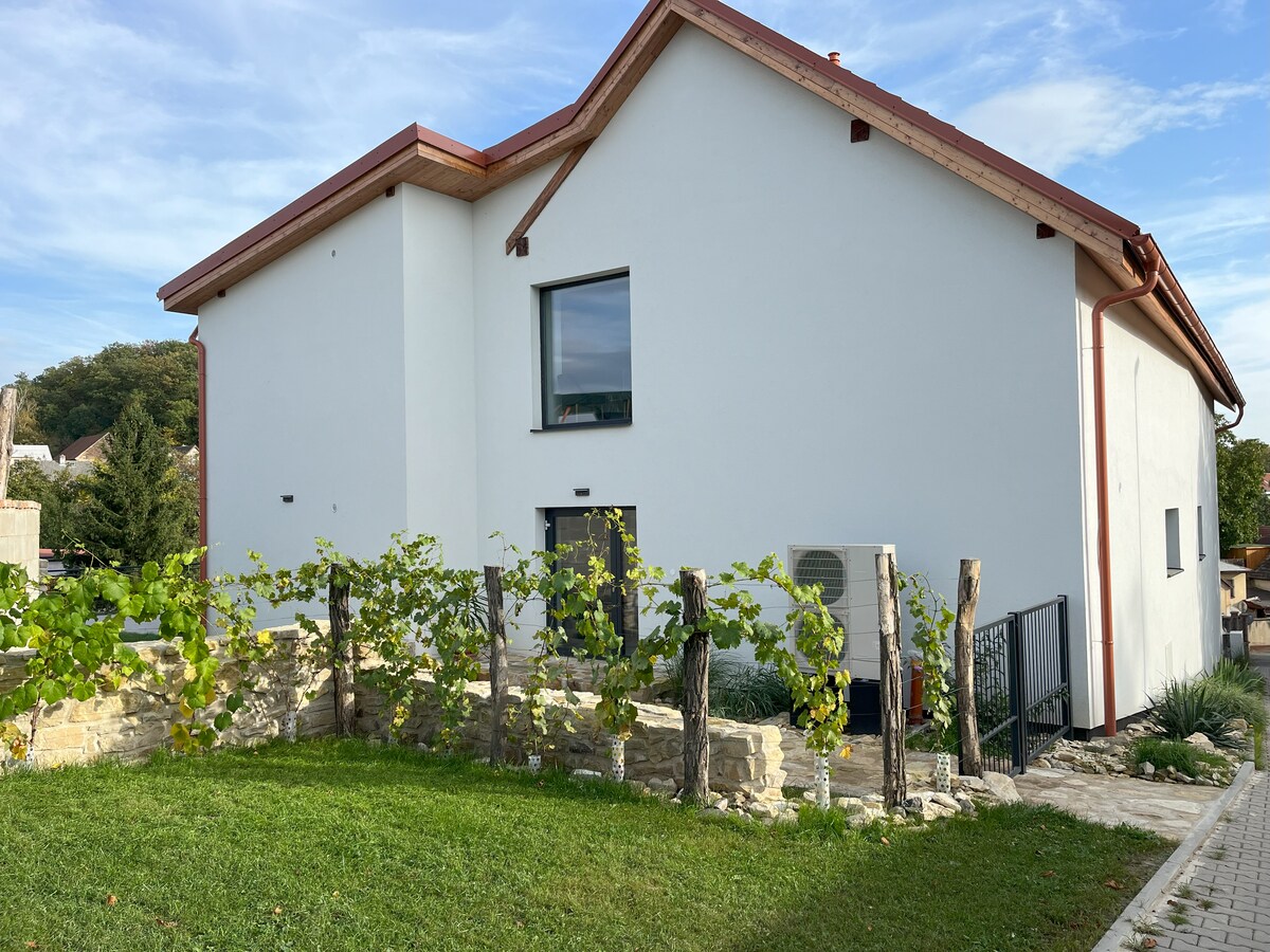 A modern white building is set against a clear blue sky, showcasing a large window on its side. A landscaped area features grapevines planted along a stone border, contributing to the outdoor ambiance.