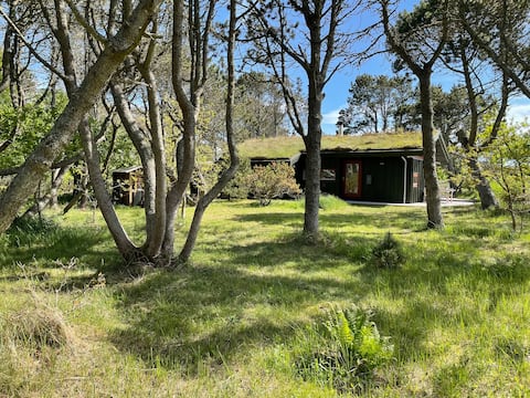 Real summer cottage atmosphere in Kandestederne