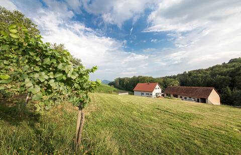 Vacation home "Schwalbennest"