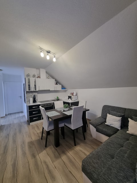 Successful Airbnb property: Three bedroom Apartment Rosandić in Ličko Senjska županija