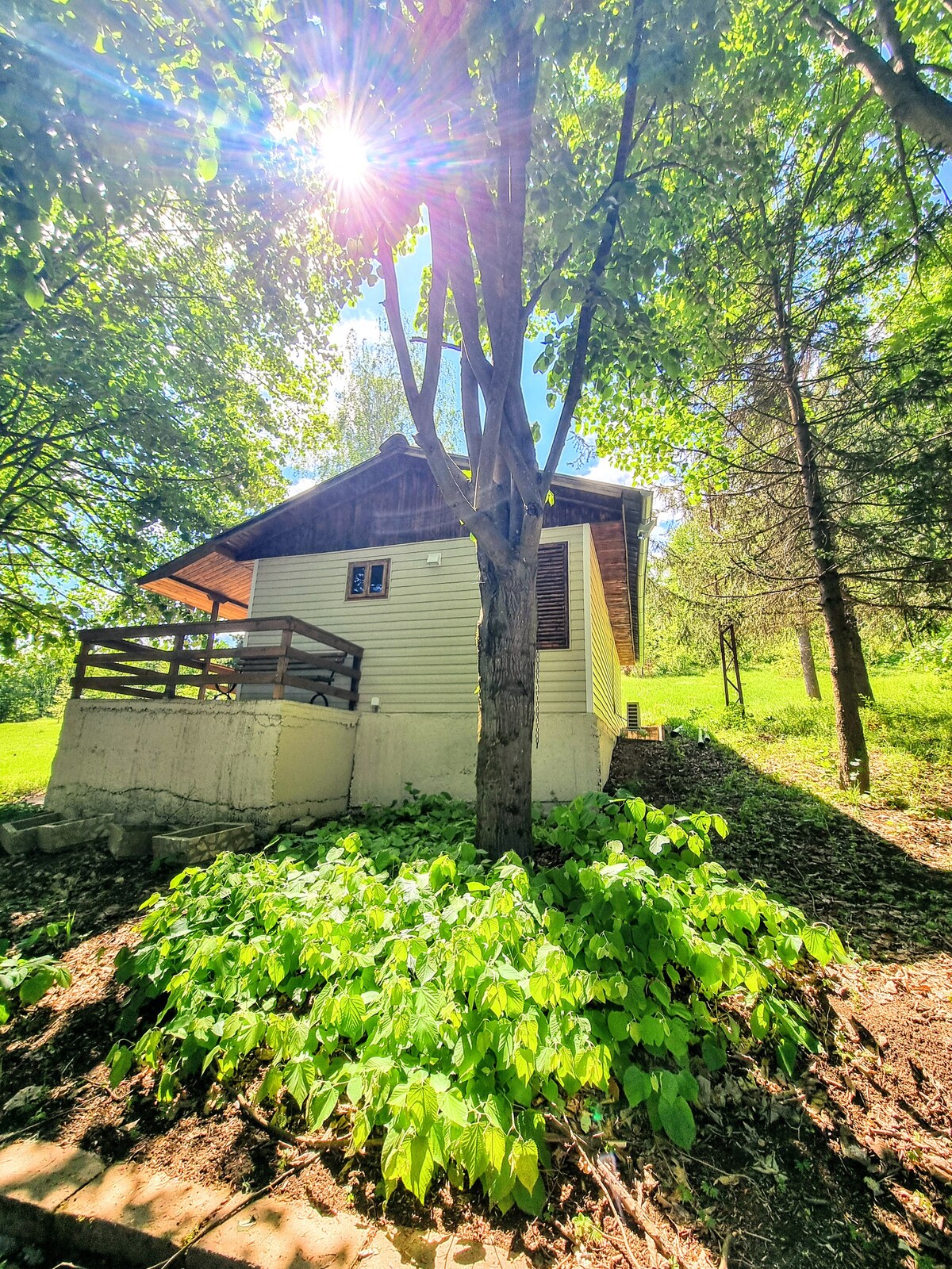 The bungalow is nestled among tall trees, with sunlight filtering through the leaves. A small porch extends from the structure, while lush greenery surrounds the base. The sloped landscape enhances the natural setting, and a well-maintained path leads to the entrance.