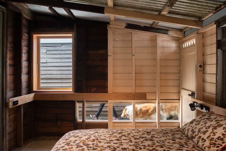 SuiteShed bedroom with our Collies walking by viewed through the dog height window. There is a handrail with movement sensor led strip lights for navigation if you are visually impaired but can still see contrast light.
Photographer: Angie Blair