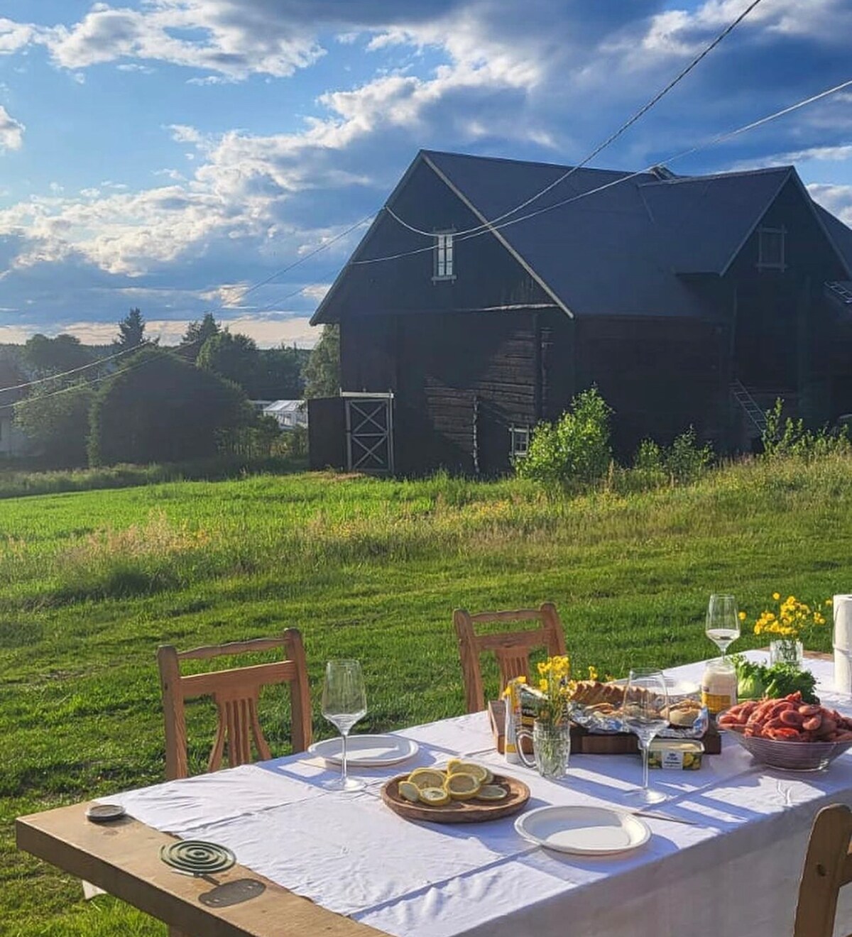 A long dining table is set outdoors, adorned with plates of food and glasses. A historic wooden building stands in the background, framed by green fields under a partly cloudy sky. Yellow flowers add a touch of color to the serene landscape.