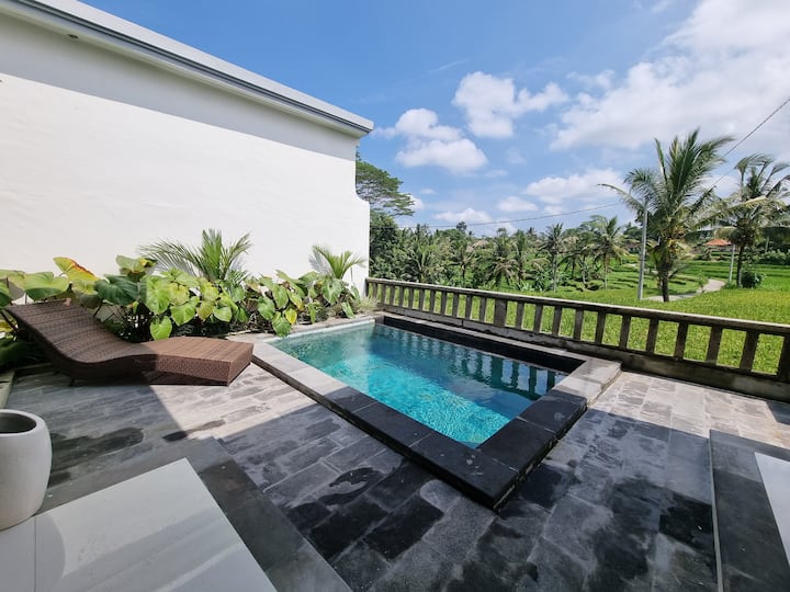 Cozy One Bedroom Villas Ricefield Views - Ubud