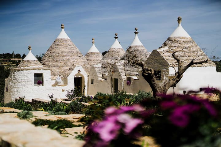 Trulli Pinacea