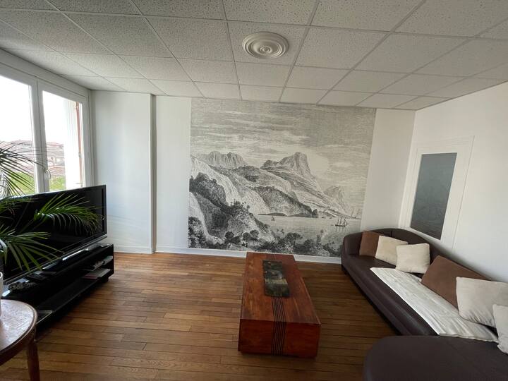 Appartement Spacieux Et Lumineux - Carcassonne