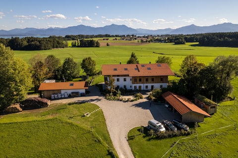 Apartment with a View
