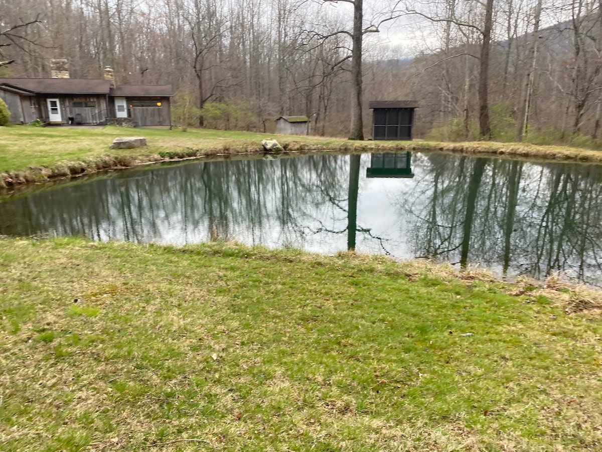 Around the cabin