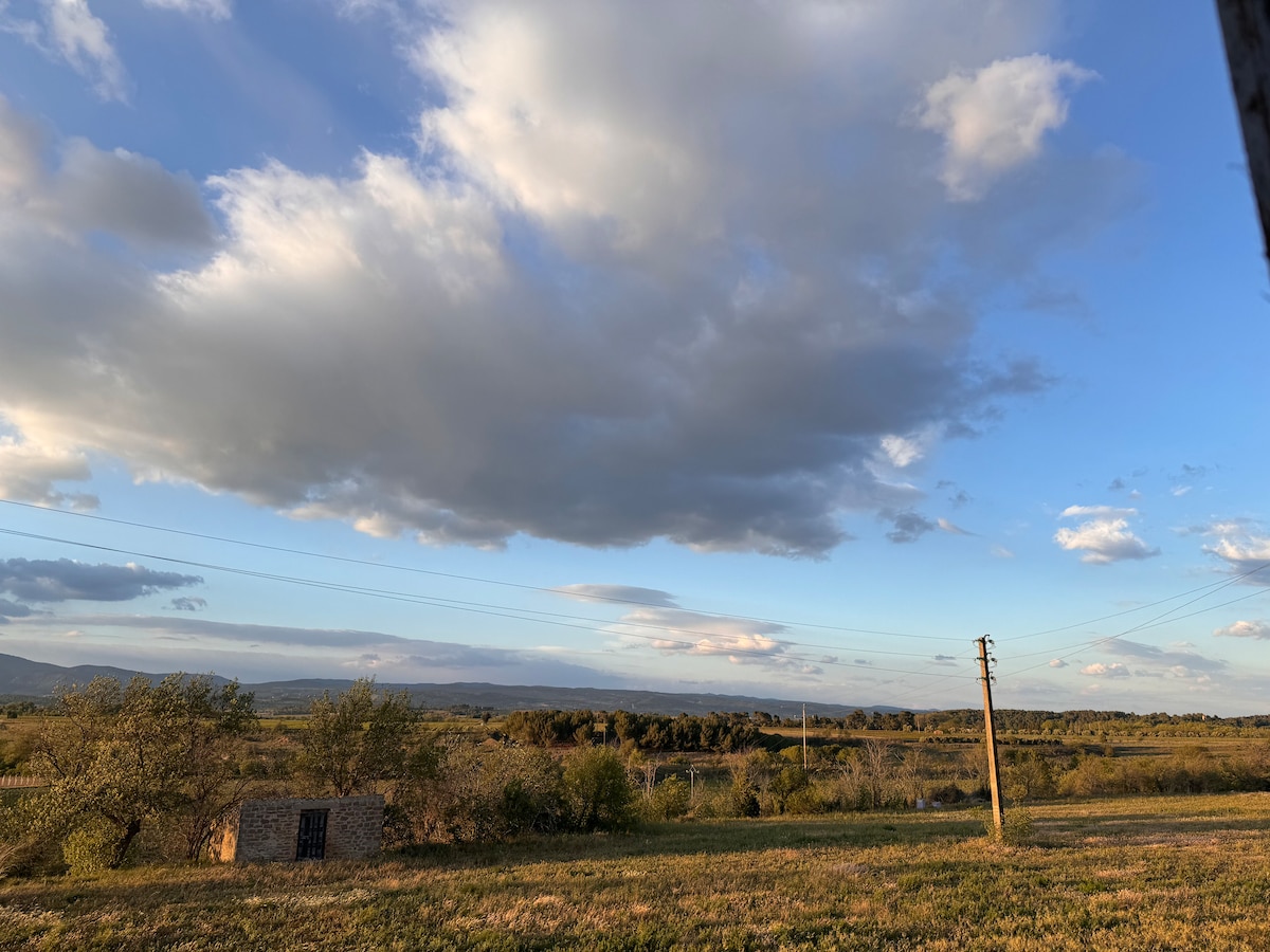 The image captures a scenic view of rolling hills under a wide sky filled with clouds. The landscape features green foliage and a grassy area, with distant trees and power lines stretching across the horizon.