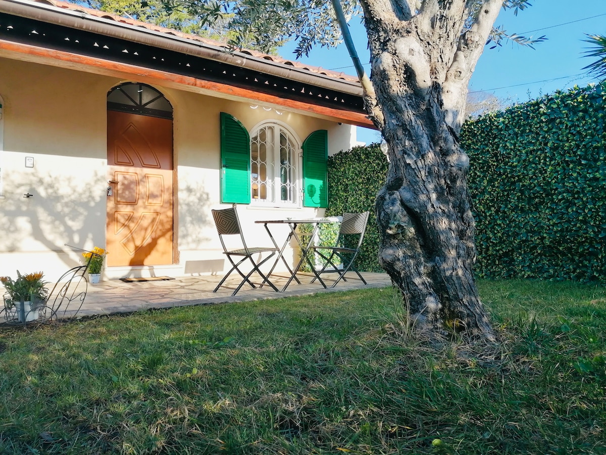 A charming terrace is displayed, featuring a small bistro table and two chairs set against a backdrop of vibrant green hedges. A sturdy olive tree stands nearby, adding character to the outdoor space, which invites relaxation.