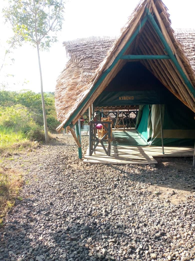 A uniquely structured tent is showcased, featuring a thatched roof supported by wooden beams. The surrounding area is composed of gravel pathways leading toward lush greenery. Sunlight filters through trees, highlighting the natural landscape and creating a serene ambiance.