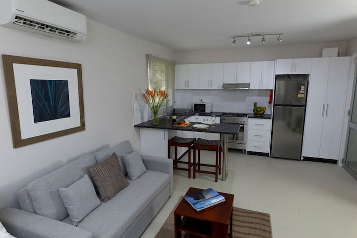 Spacious Pool Side Studio, Bau Apartments Studio 2 - Suva