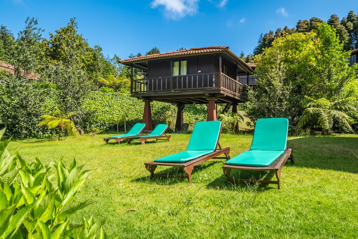 Lounge chairs are arranged on a grassy area, inviting relaxation under the sun. A wooden house with a sloping roof is positioned above the ground, surrounded by lush greenery and trees. The clear blue sky provides a bright backdrop to this tranquil setting.