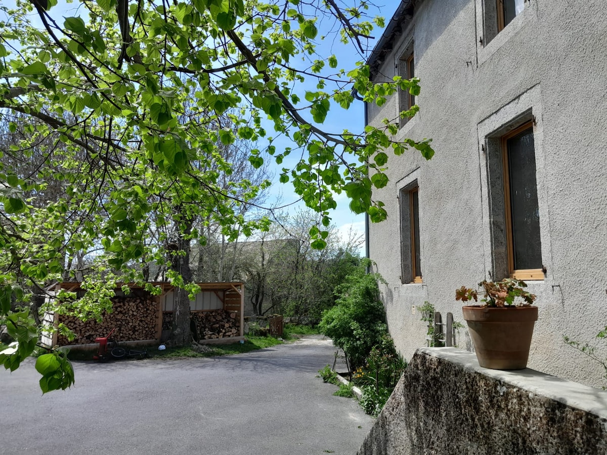 The image captures the exterior of a stone building surrounded by lush greenery. A potted plant sits on a stone ledge, and wood stacks are visible nearby. The drive appears accessible, with a glimpse of a sunny sky and budding leaves enhancing the peaceful environment.